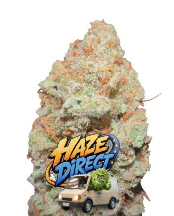 G13 HAZE